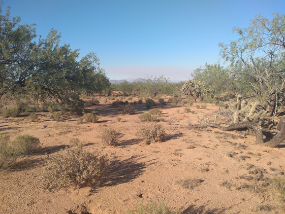 Desert with no vegetation
