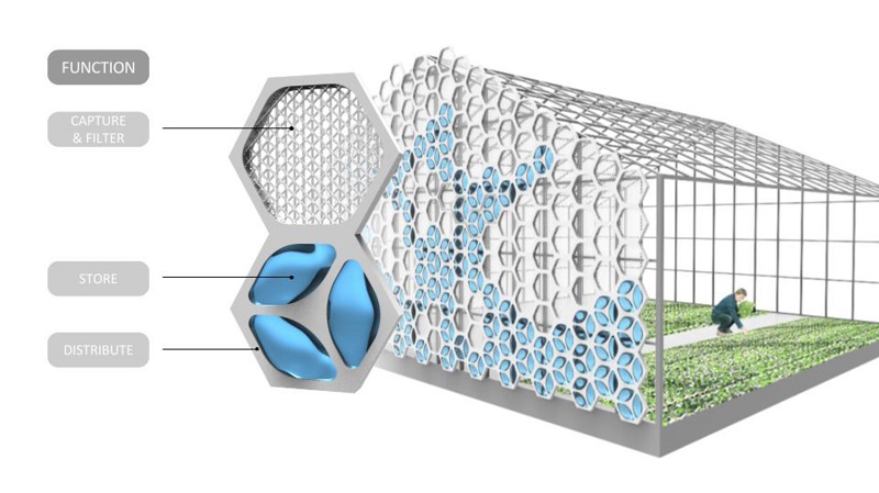 NexLoop Biomimicry Project NexLoop Biomimicry Project