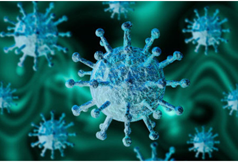 Coronavirus Coronavirus