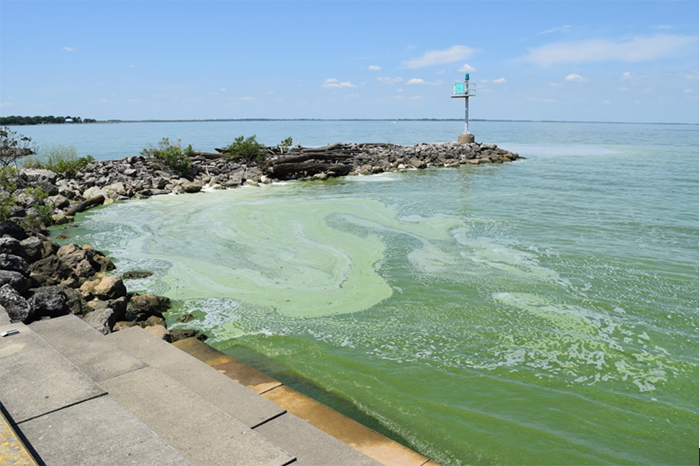 Maumee bay, Lake Erie