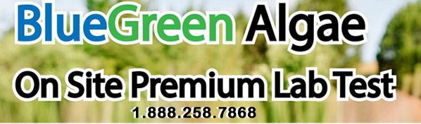 BlueGreen Test BlueGreen Test